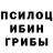 Псилоцибиновые грибы мухоморы Aaralyn Perez