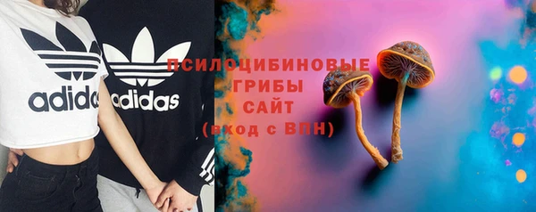 стаф Алексин