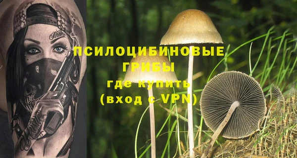 прущая мука Алзамай