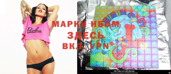 стаф Алексин