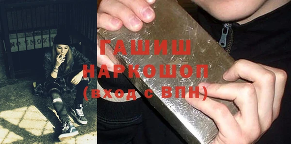 стаф Алексин