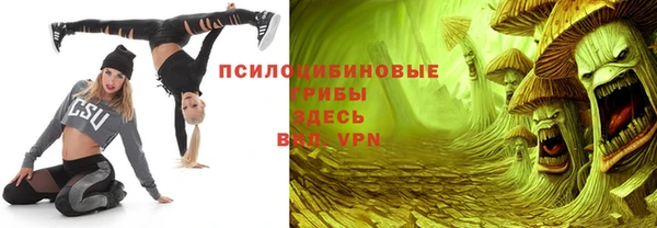 стаф Алексин