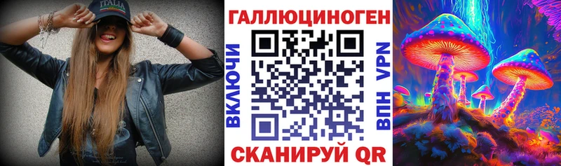 ОМГ ОМГ ТОР  Любим  Галлюциногенные грибы Magic Shrooms 