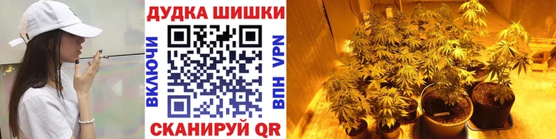 Шишки марихуана планчик Любим